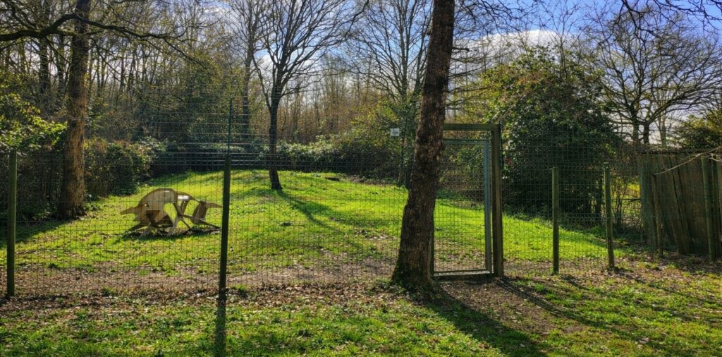 pension canine parc extérieur sécurisé Legé